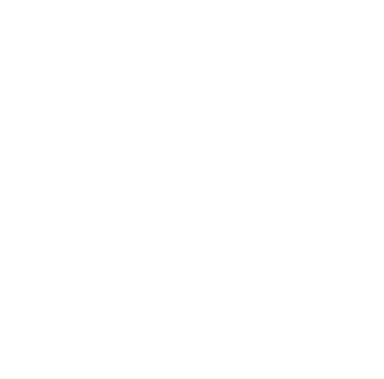 The Story of the GTO's